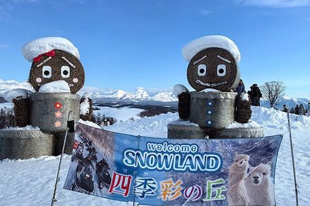 Asahiyama Zoo, Biei Blue Pond, Shirahige Falls & Ningle Terrace