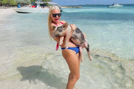 Swimming Pigs, turtles, snorkeling rose island reef .