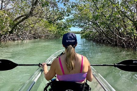 Sarasota Clear Kayak Tour