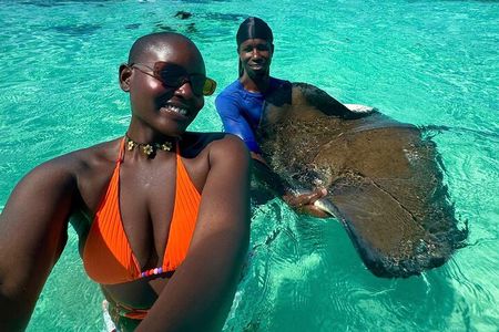 Stingray City Experience Antigua - Cruise Ship Passengers Edition