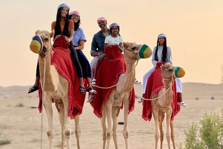 Private Desert Safari Abu Dhabi With Camel Ride BBQ Dinner Shows