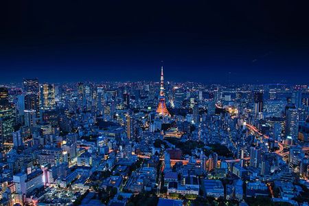 Tokyo Night Adventure with Skyline Views 