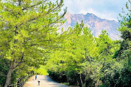 Sakurajima Century Lava Climb Journey with E-bike