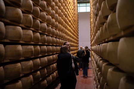 Bologna Full Day Food Factory Tour and Wine Tasting