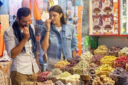 Dubai Layover Stopover and Transit Tour - Private & Customizable