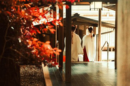 Unlock Tokyo’s Secrets with a Custom Private Tour