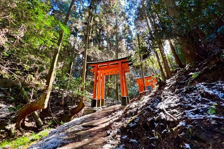Kyoto: Fushimi Inari Hidden Hike (Private)