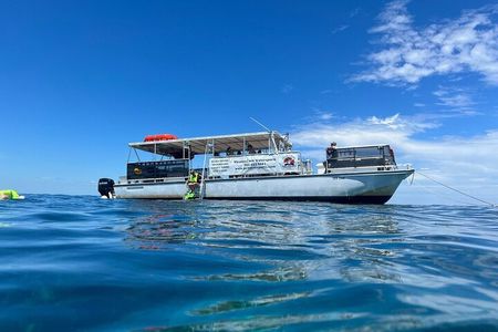 Key Largo Coral Reef Half Day Snorkel Trip
