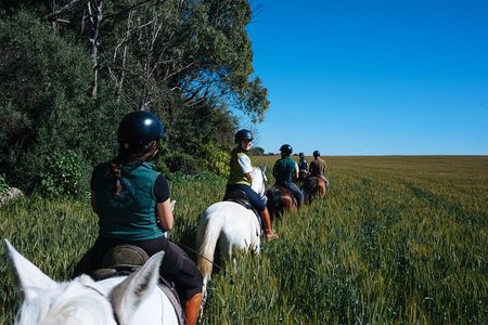 Horseback riding around Doñana National Park