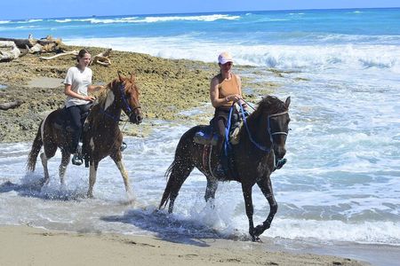  Morning horseback riding tour from Punta Cana