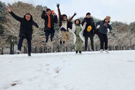 One Day Private Tour-Nami, Petite and Garden of Morning Calm