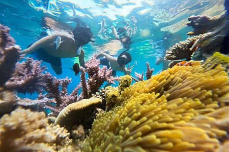 Nha Trang Half-Day Snorkeling Adventure with BBQ Onboard
