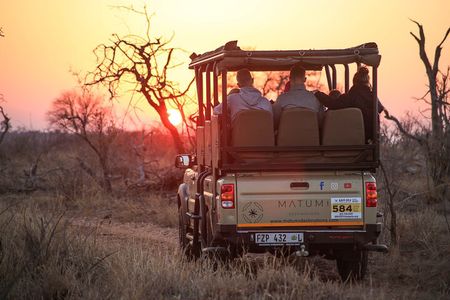 Kruger National Park Full Day Safari (Hoedspruit)