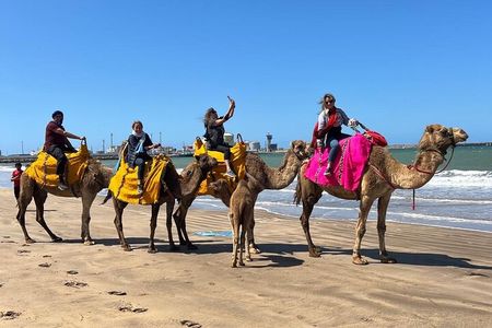 Private Full-Day Tour in Casablanca and Camel Ride in Mohammedia.