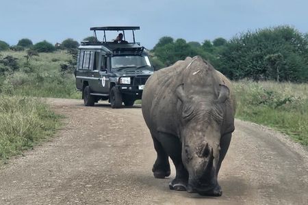 Nairobi National Park Half-Day Tour; Free Wi-Fi connection