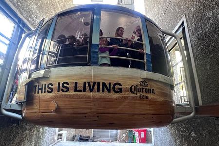 Cape Town Table Mountain Tour with Tickets & Hotel Transfers