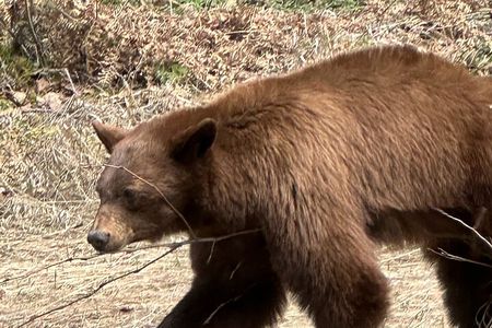 Driving Tour West Glacier National Park (excludes Sun Road)