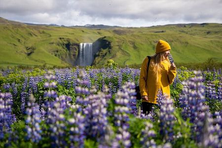 7-Day Small Group Journey Around Iceland