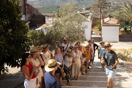 Málaga Small‑Group Wine Tour – Álora Castle Views & 4 Tastings