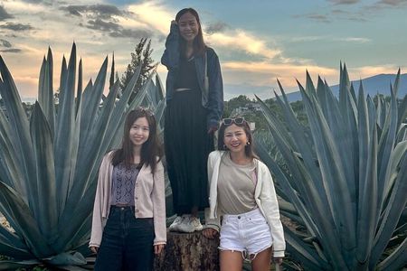 FULL Oaxaca Experience (Small Groups)
