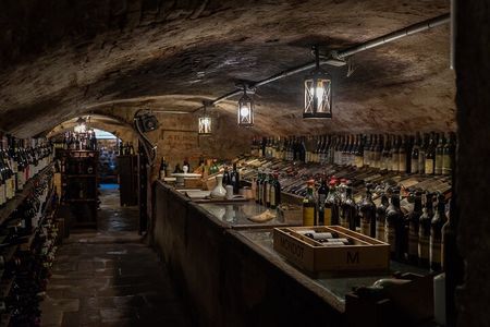 Wine tasting in Lucca