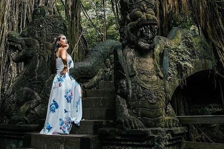 Ubud Tour: Monkey Forest, Rice Terrace, Temple and Waterfall
