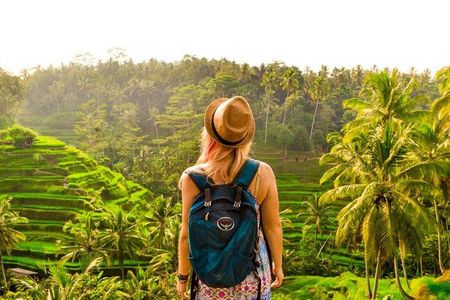 Ubud Tour: Monkey Forest, Rice Terrace, Temple and Waterfall