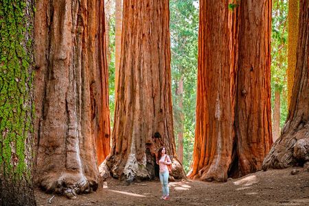 Yosemite Highlights: 5-Day Tour from San Francisco