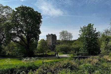 Kiss the Blarney Stone Tour from Dublin