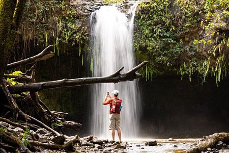 Waterfall & Rainforest Hiking Adventure with Hotel Pickup