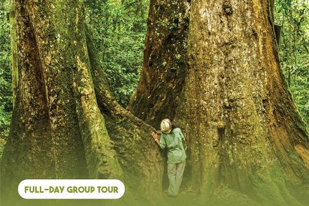 Ha Noi: Full-day Cuc Phuong National Park Eco-adventure