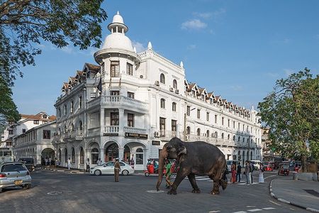 Private Historical Day Tour from Colombo and Negombo