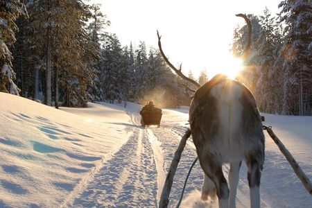 Husky Ride, Reindeer Ride and Ice Fishing One Day Experience