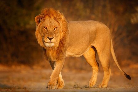 Nairobi National park And Giraffe Center: Free Wi-Fi Connection