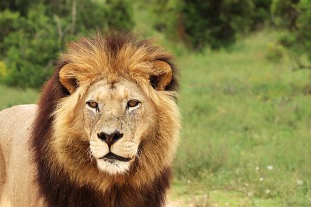 Nairobi National park And Giraffe Center: Free Wi-Fi Connection