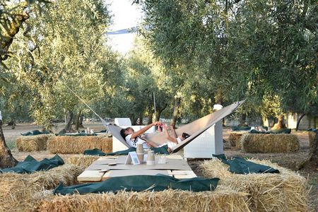 Apulian Olive Oil Tasting and Aperitivo Experience in Trani