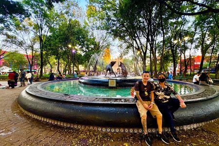 The bohemian Coyoacan