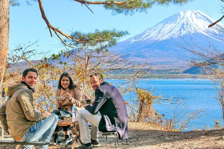 Private Mt Fuji Tour from Tokyo: Scenic BBQ and Hidden Gems