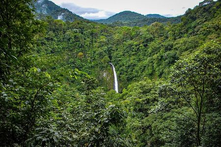 La Fortuna Waterfall Hike