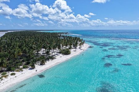 Saona Island Premium Discovery Tour from Punta Cana or Bayahíbe
