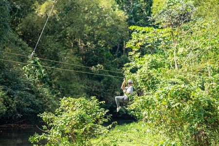Appleton Estate Rum Tasting with Jungle Zipline at Good Hope
