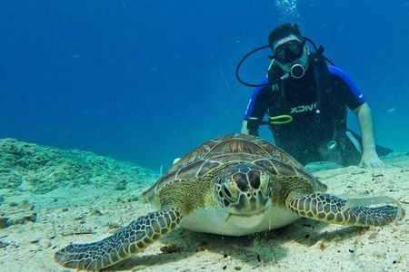 Protaras: Discover Scuba Diving For Beginners 2 Dives