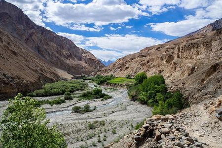 Markha Valley Trek in Ladakh 
