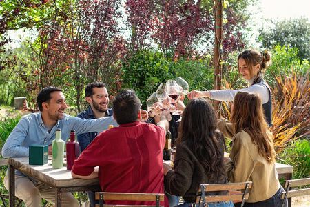 Vineyard walk and wine tasting in l’Empordà