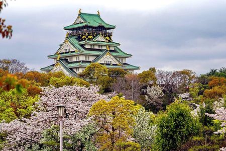 Osaka Full Day Walking Tour with Local Expert Guide