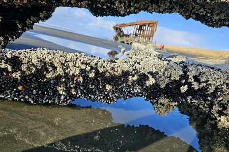 Full Tour of 4 coastal towns from Astoria to Seaside with lunch