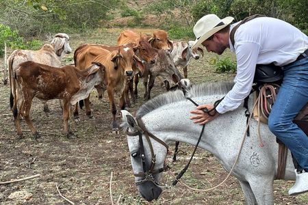Cowboy for a Day: Explore Colombia’s Countryside near Cartagena