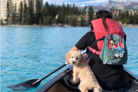 Roundtrip Shared Tour: Lake Louise, Moraine, Johnston & Emerald