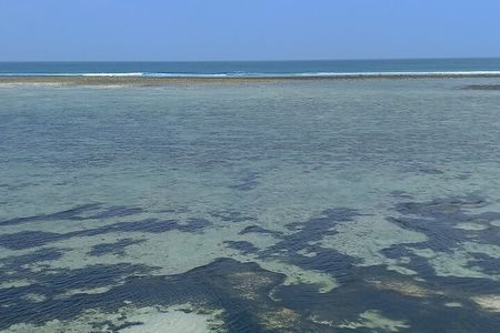 Zanzibar East and South Coast Day Tour