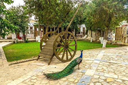 Bukhara Countryside Tour with a Traditional Lunch Experience